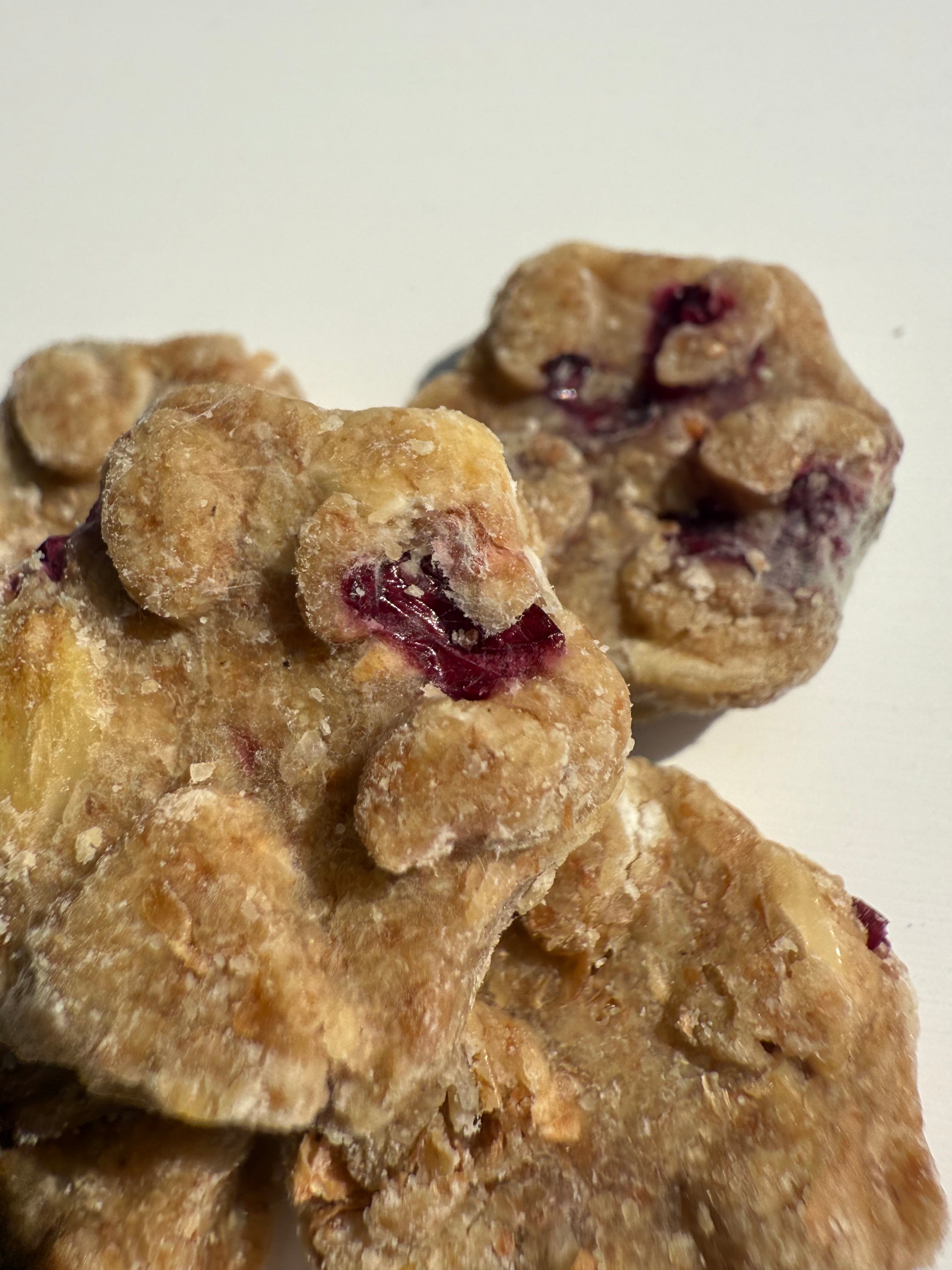 SPECIAL ADDITION Gourmet Cranberry Oat and Honey Tiny Paws