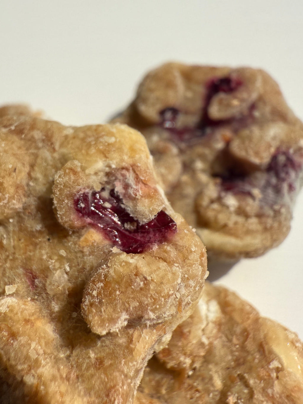 SPECIAL ADDITION Gourmet Cranberry Oat and Honey Tiny Paws