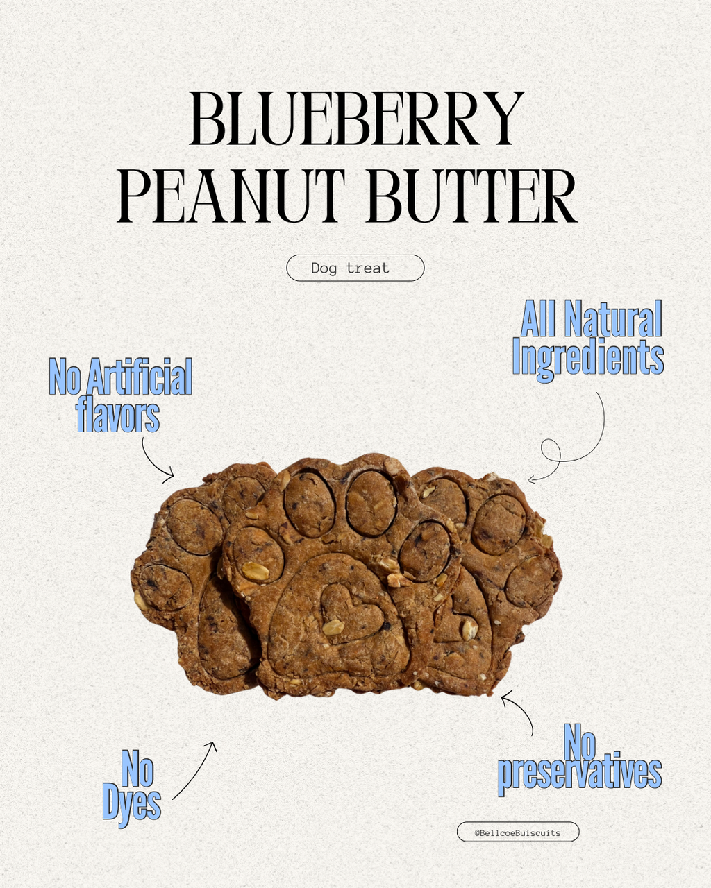 Gourmet Blueberry Peanut butter and Oat Big Paws
