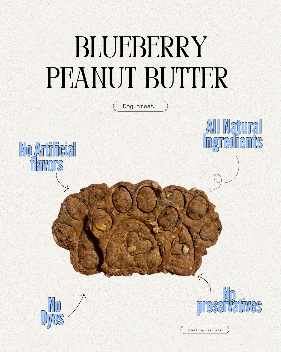 Gourmet Blueberry Peanut butter and Oat Big Paws